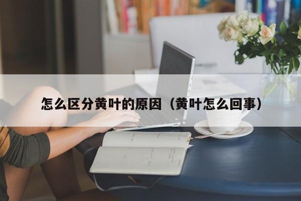 怎么区分黄叶的原因（黄叶怎么回事） 